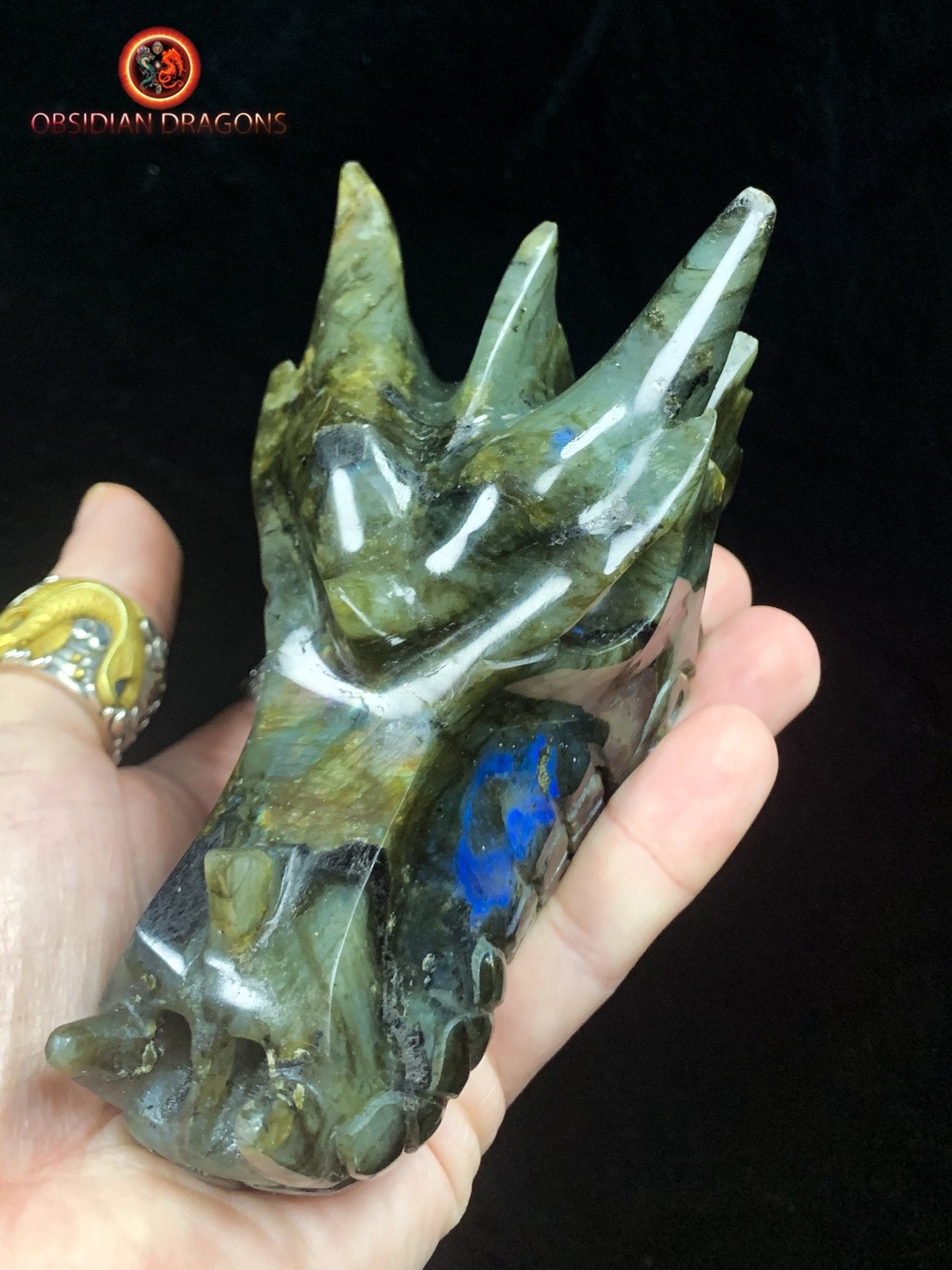 crâne de dragon- Labradorite- Authentique