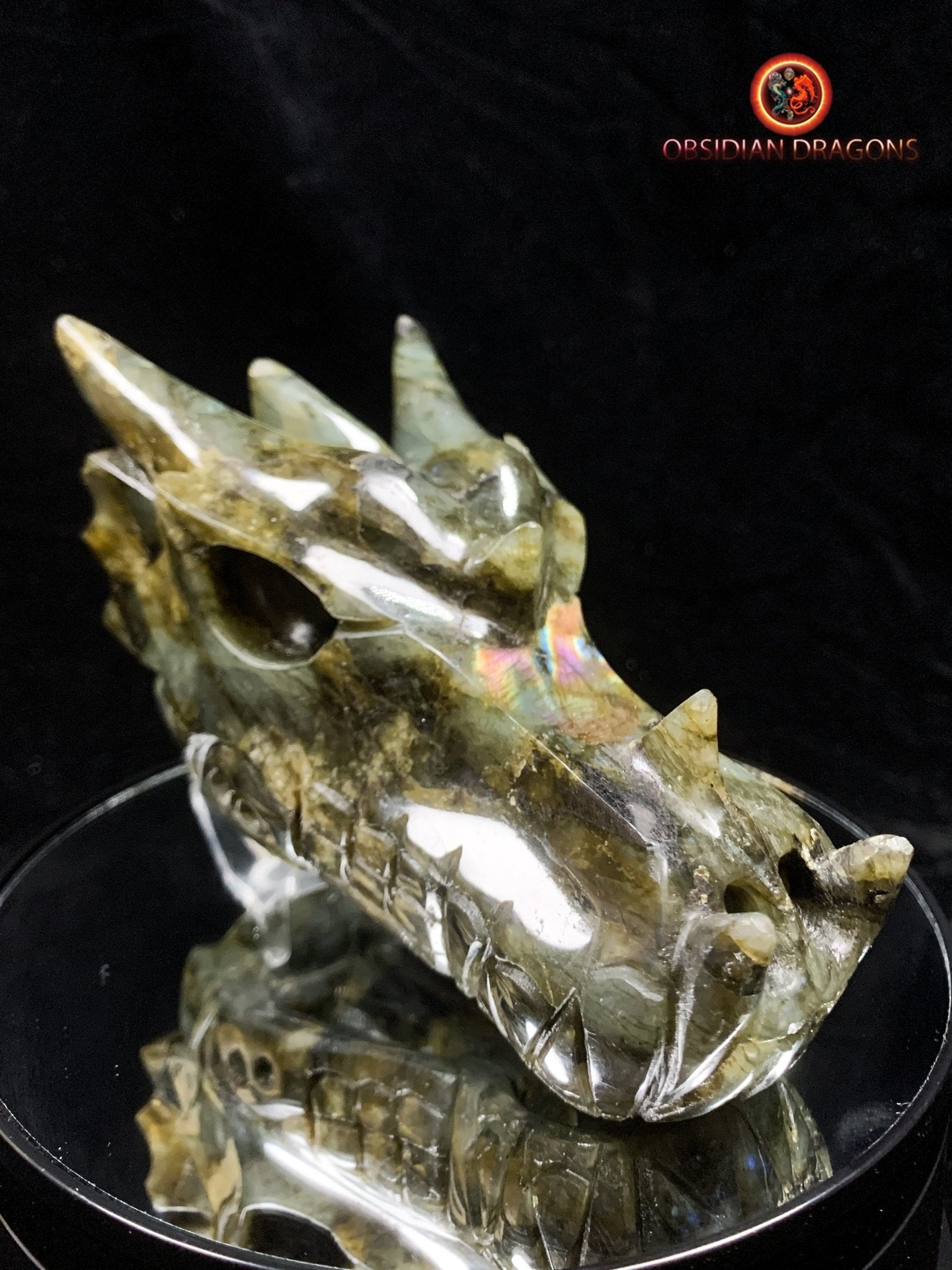 crâne de dragon- Labradorite- Authentique