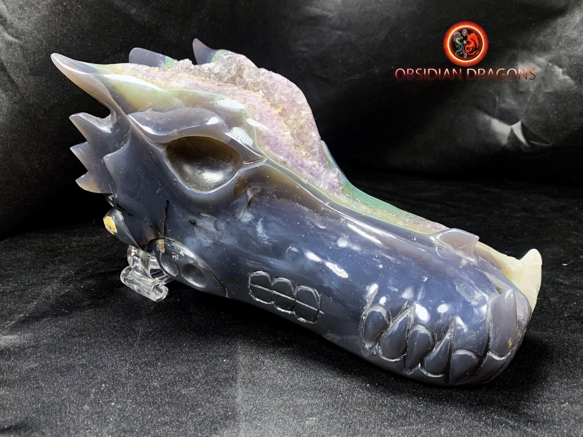 Crâne de dragon, tête de dragon, crâne de cristal, dragon skull, dragon head