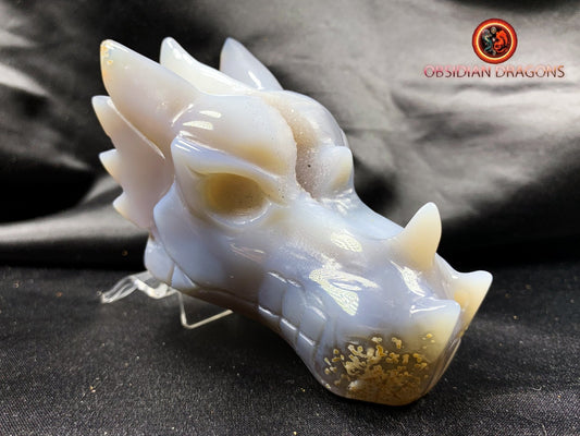 Crâne de dragon, tête de dragon, crâne de cristal, dragon skull