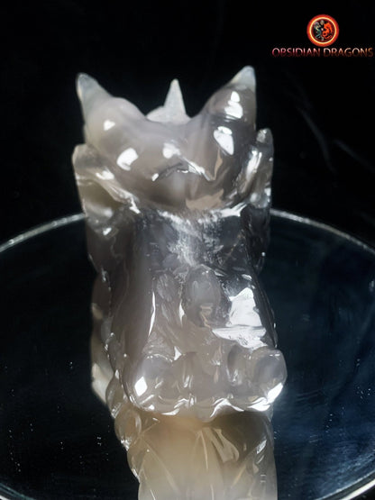 Crâne de dragon- Géode de quartz- Méditation draconique | obsidian dragons