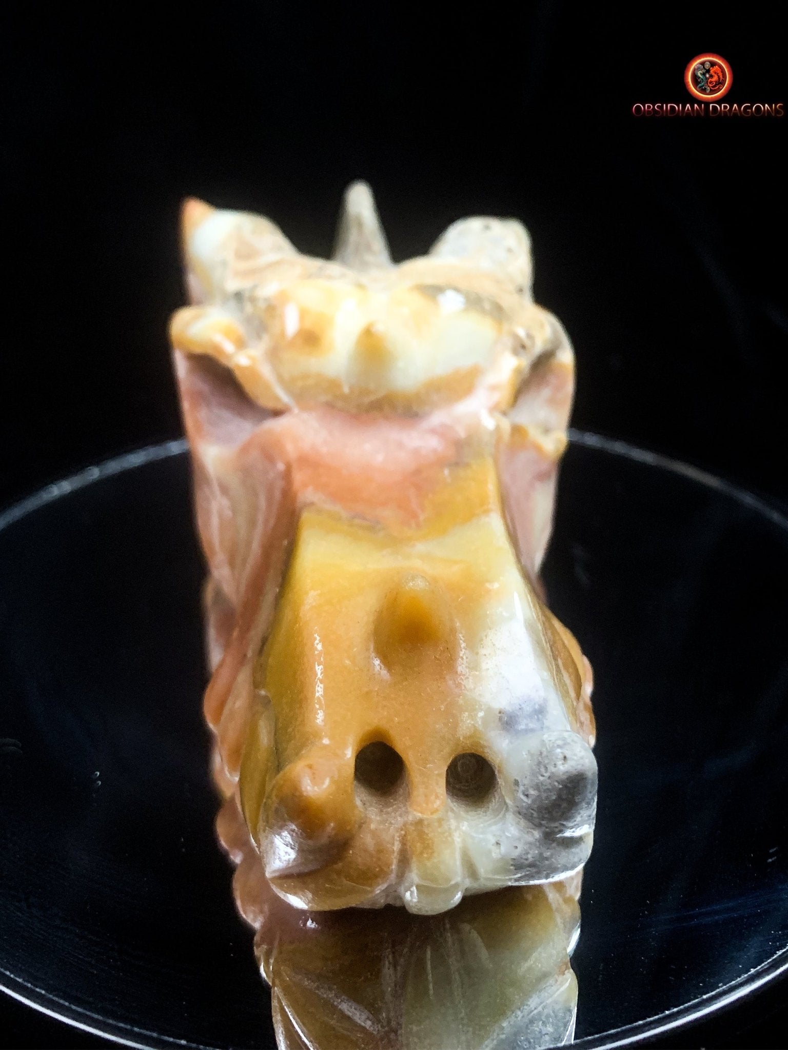 Crâne de dragon en Aragonite- Artisanal | obsidian dragons