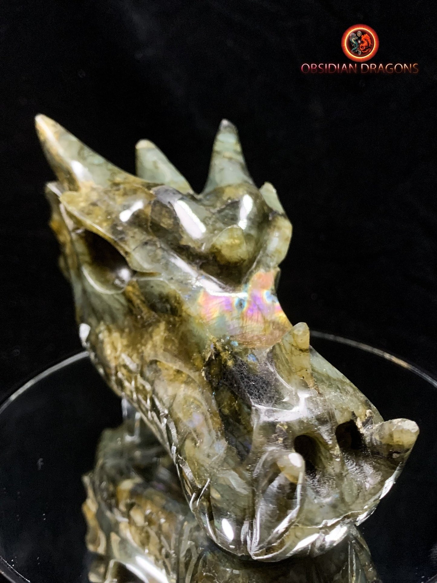 crâne de dragon- Labradorite- Authentique