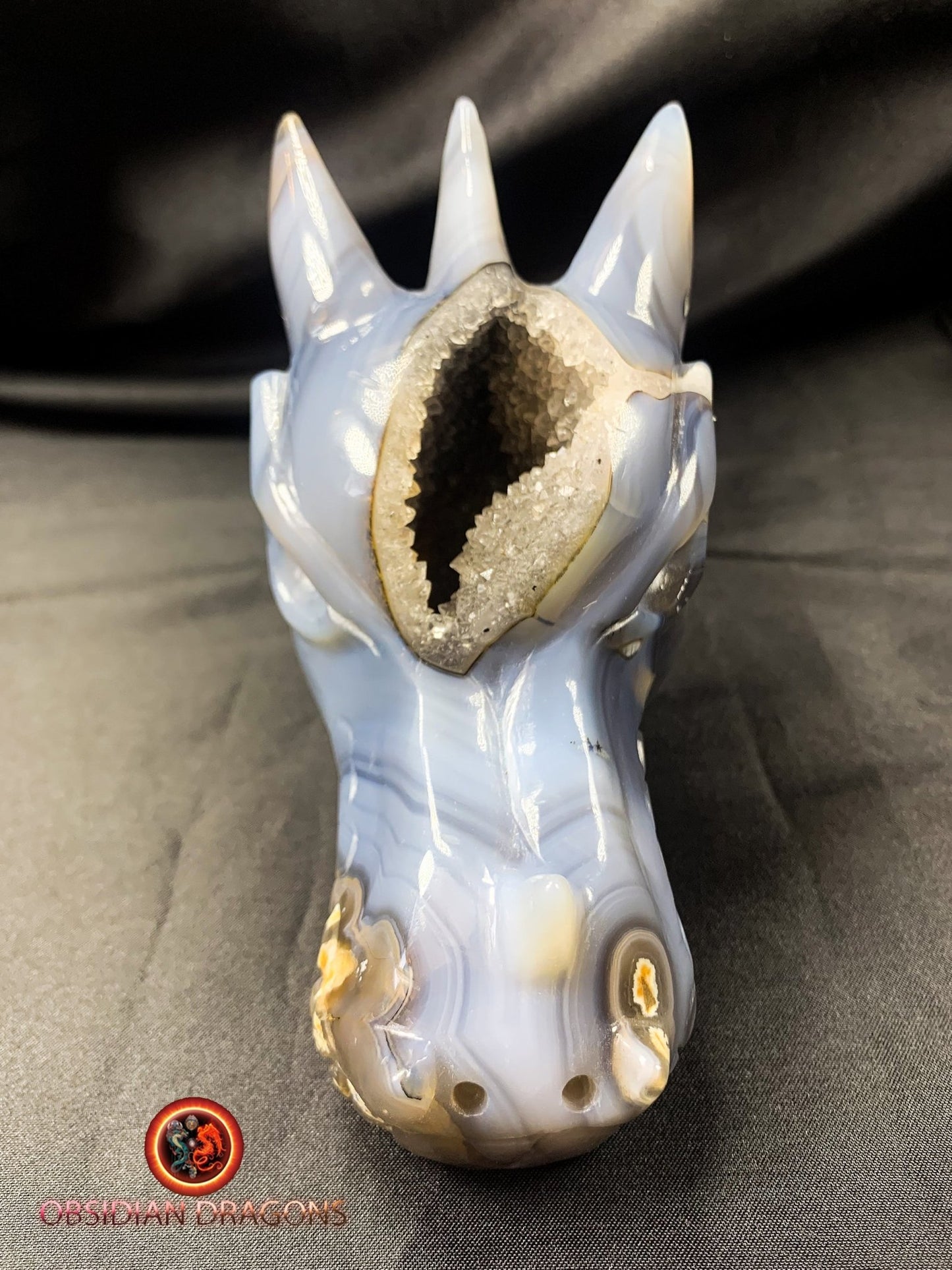 Crâne de dragon, tête de dragon, crâne de cristal, dragon skull,