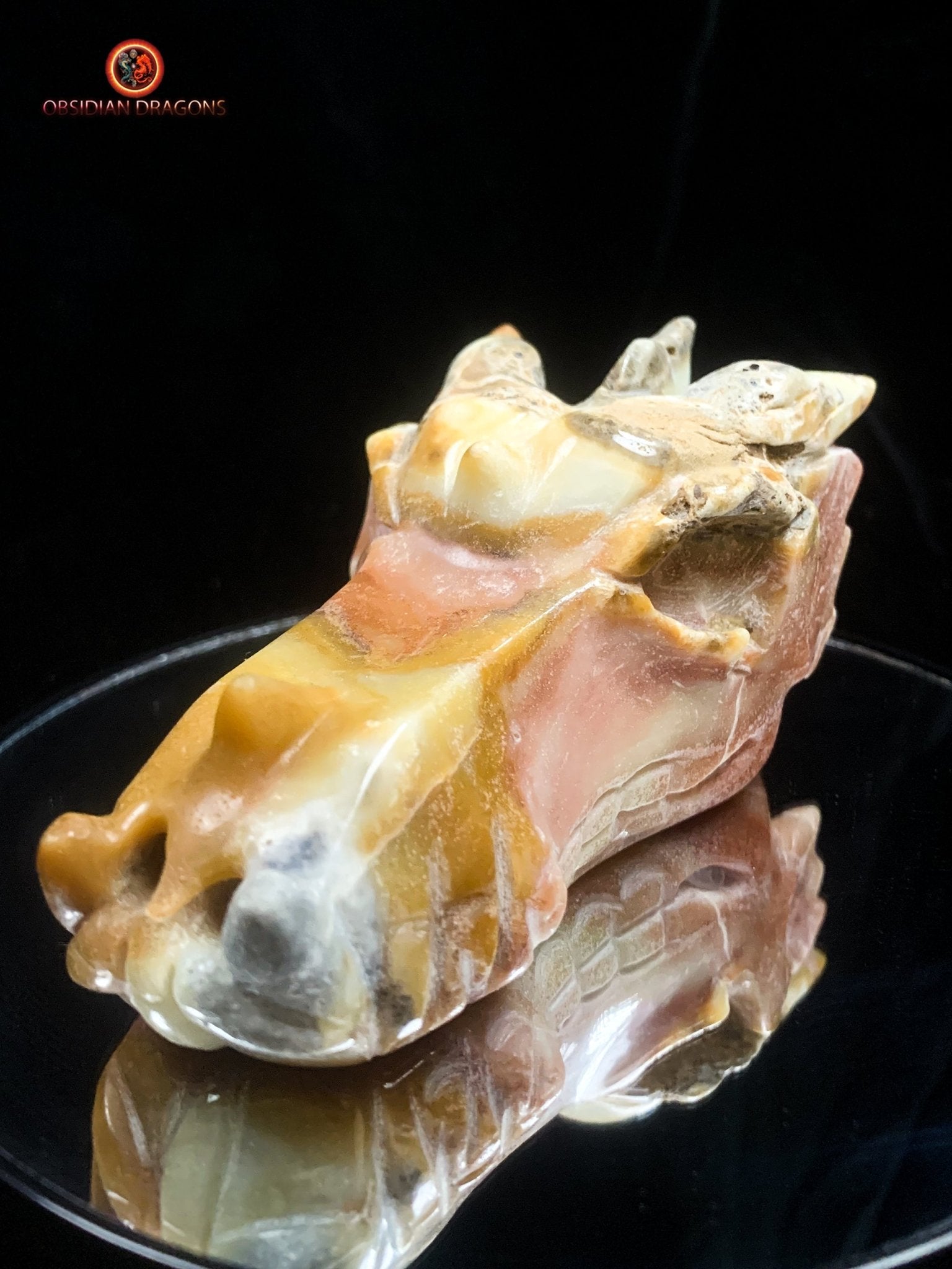 Crâne de dragon en Aragonite- Artisanal | obsidian dragons