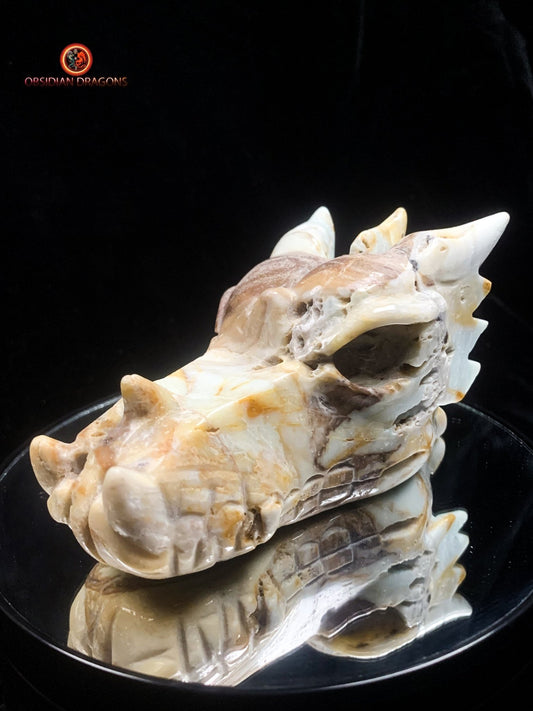Crâne de dragon en Aragonite- Artisanal- Unique | obsidian dragons