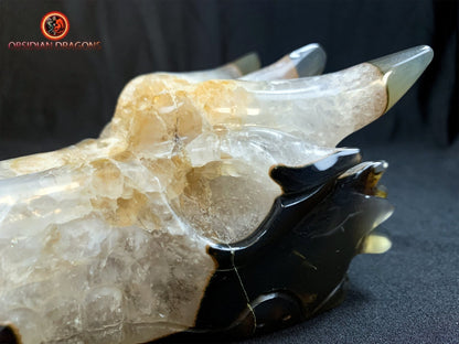 Crâne de dragon- artisanal- géode de quartz