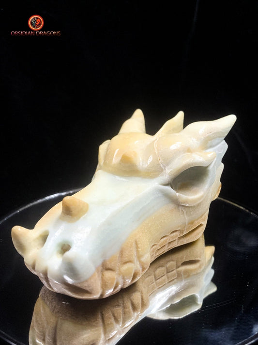 Crâne de dragon en Aragonite- Unique | obsidian dragons