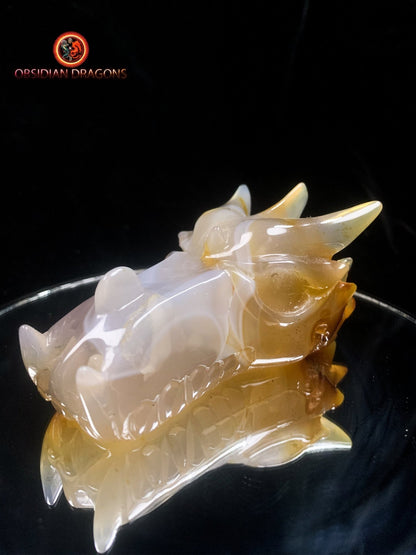 Crâne de dragon- Quartz- Méditation draconique | obsidian dragons