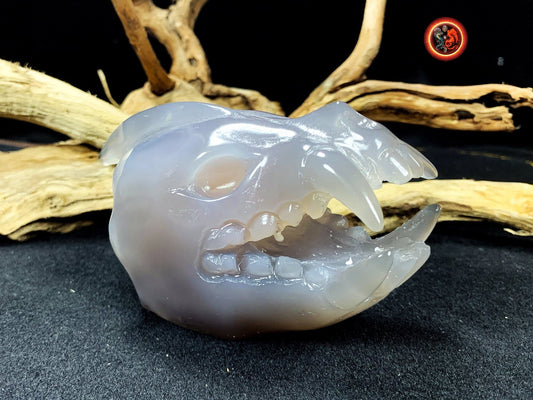 Crane de protection. Leopard Zheng. Dragon. Aspirateur d'energie impure, garant de l'ordre cosmique. Crane de dragon, sculpté dans une geode - obsidian dragon