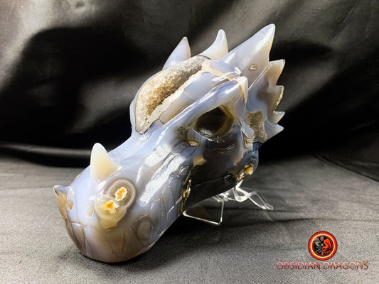 Crâne de dragon, tête de dragon, crâne de cristal, dragon skull,