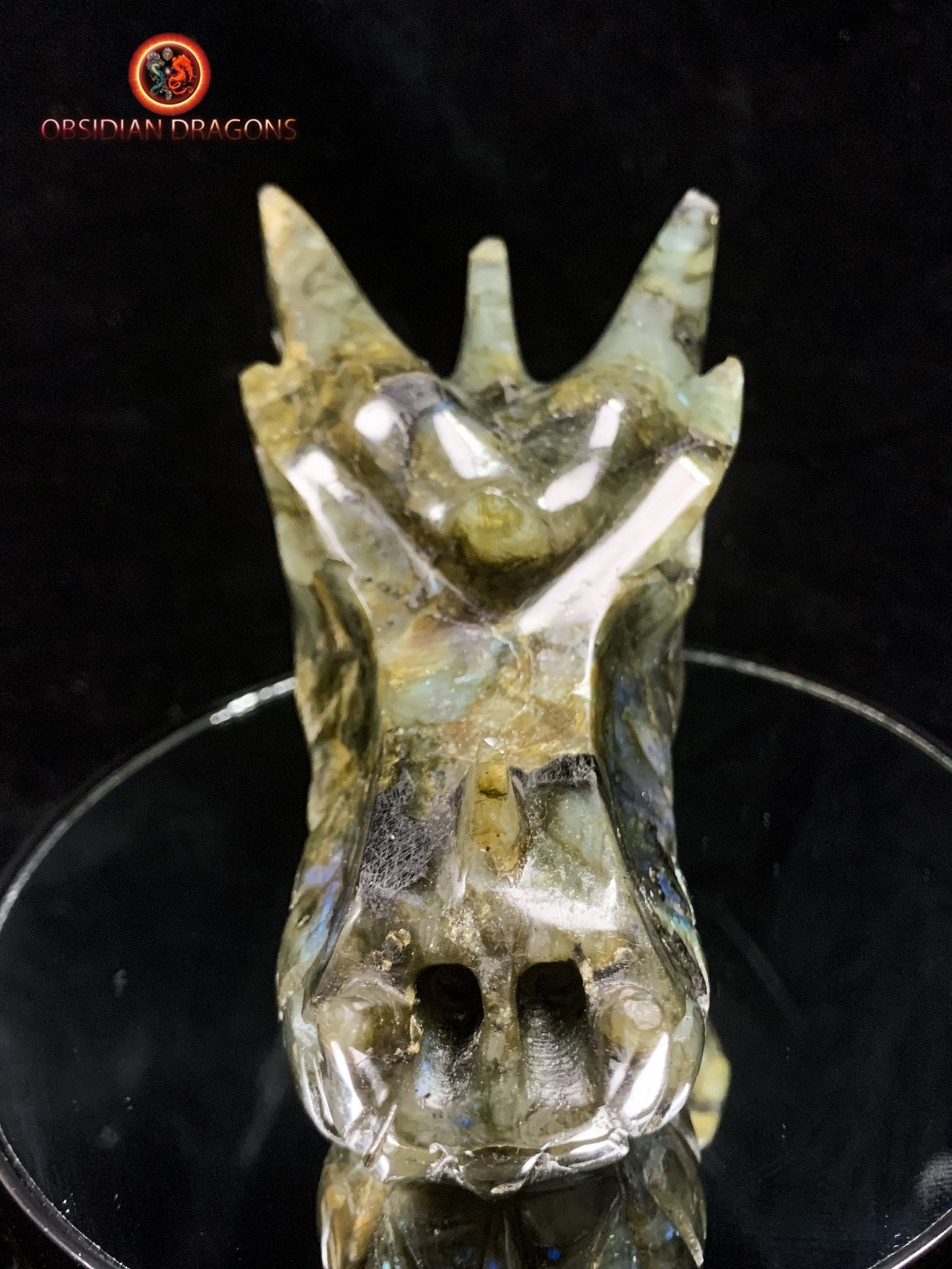 crâne de dragon- Labradorite- Authentique