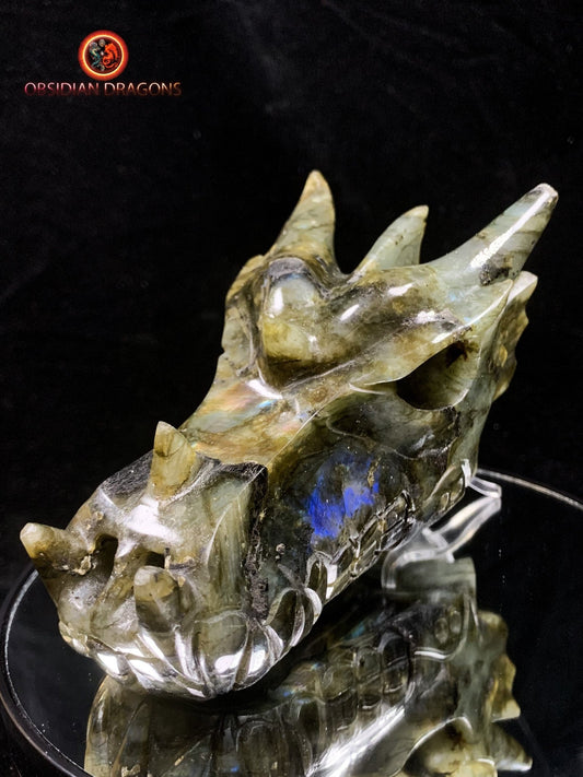 crâne de dragon- Labradorite- Authentique