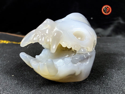 Crane de protection. Leopard Zheng. Dragon. Aspirateur d'energie impure, garant de l'ordre cosmique. Crane de dragon, sculpté dans une geode - obsidian dragon
