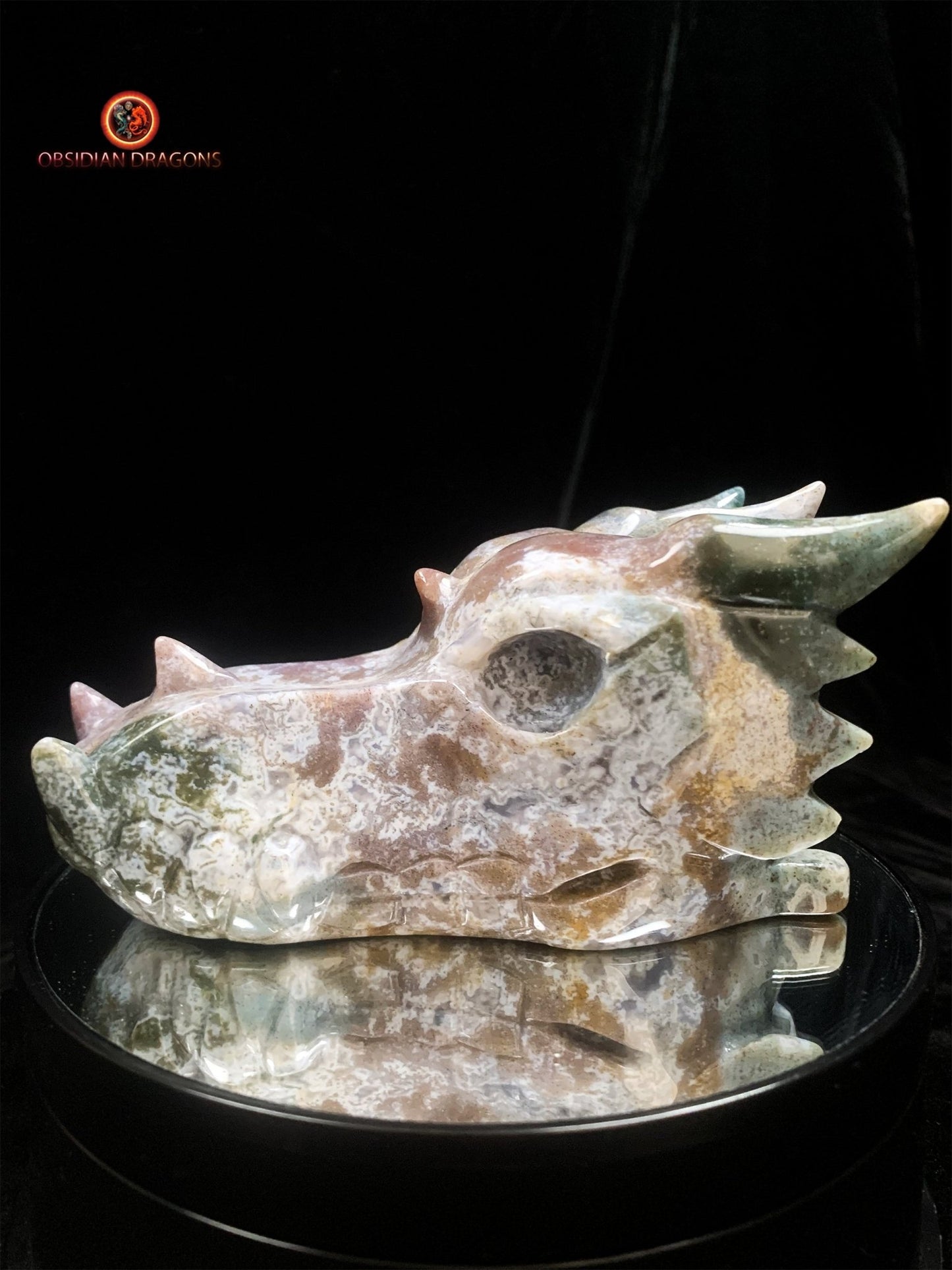 CRÂNE DE DRAGON- AGATE MOUSSE- UNIQUE | obsidian dragons