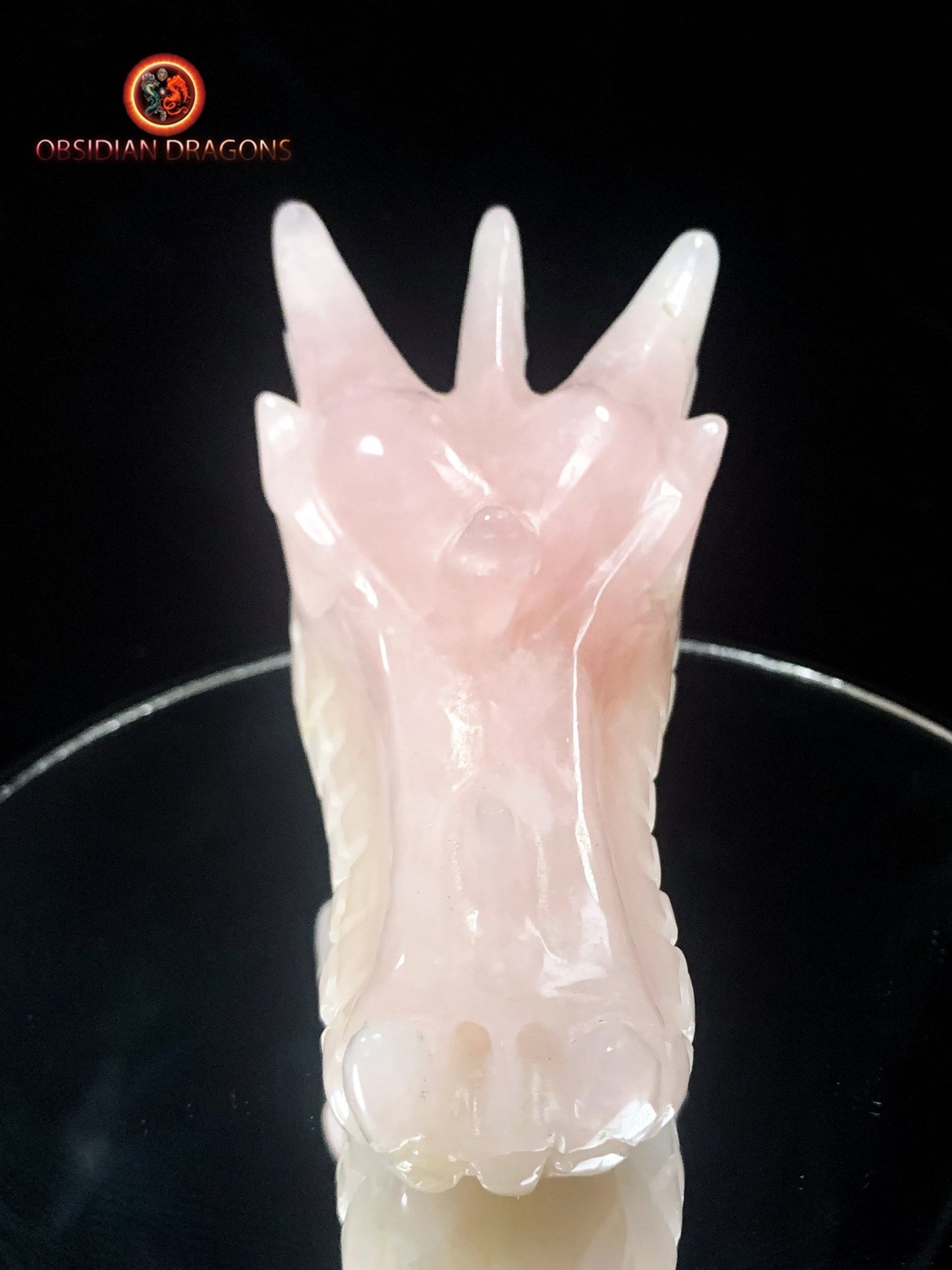 Crâne de dragon- Quartz rose- Artisanal et Unique