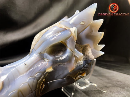 Crâne de dragon, tête de dragon, crâne de cristal, dragon skull,