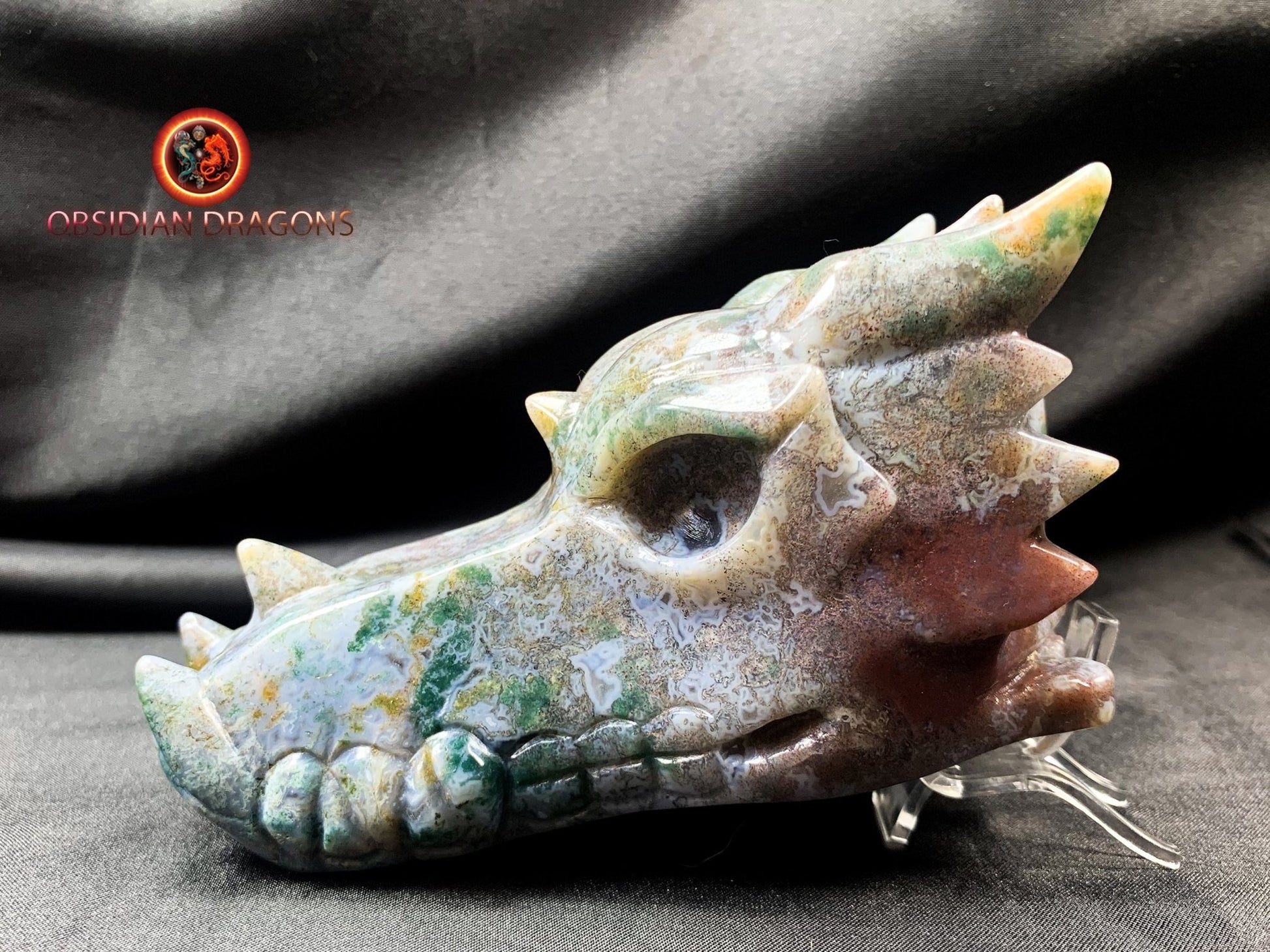 Crâne de dragon, tête de dragon, crâne de cristal, dragon skull