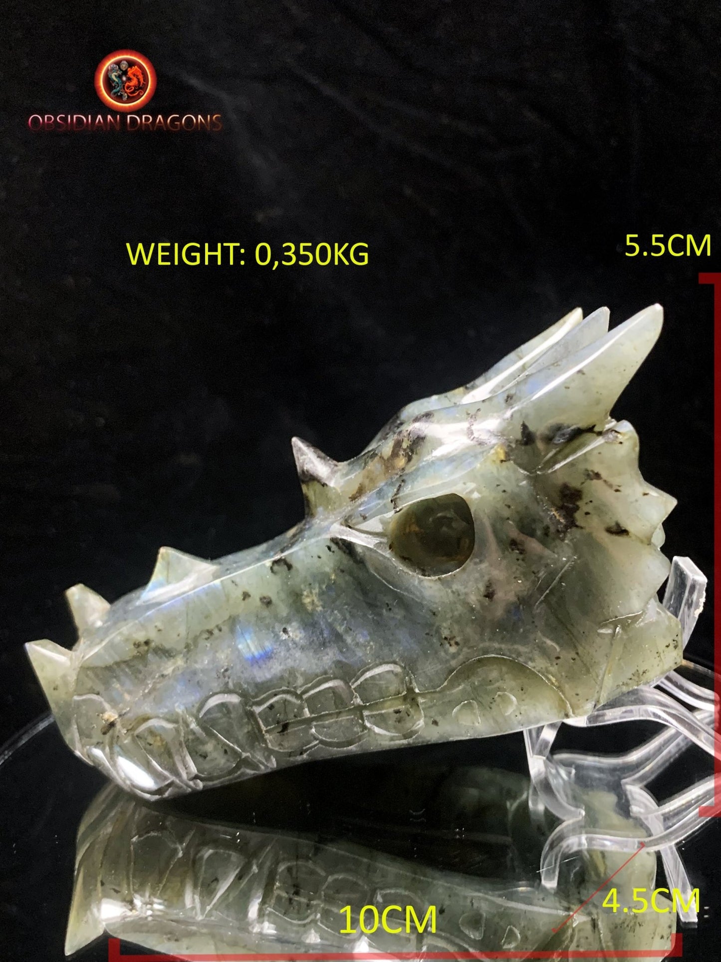 crâne de dragon en Labradorite- Artisanal