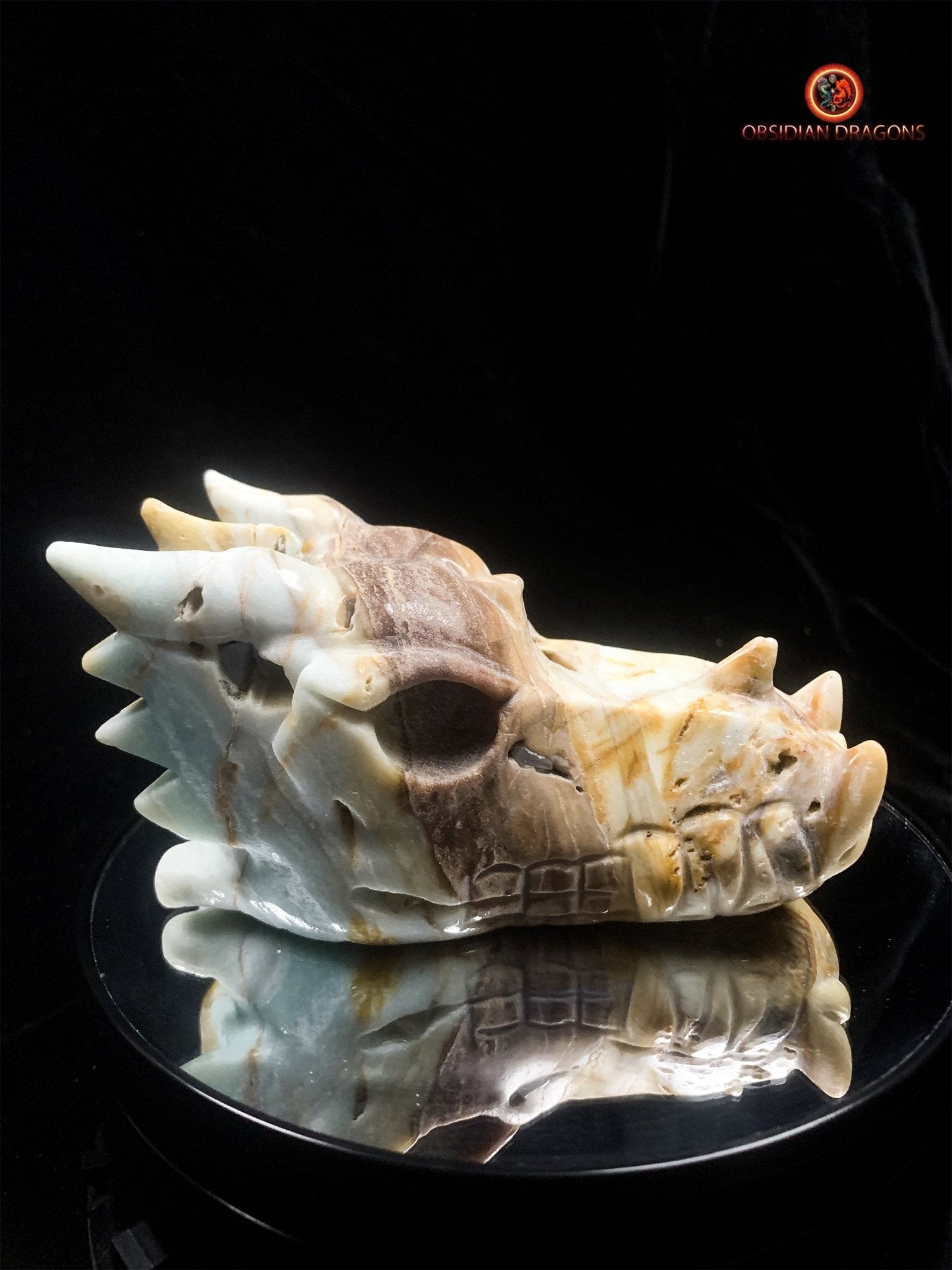 Crâne de dragon en Aragonite- Artisanal- Unique | obsidian dragons