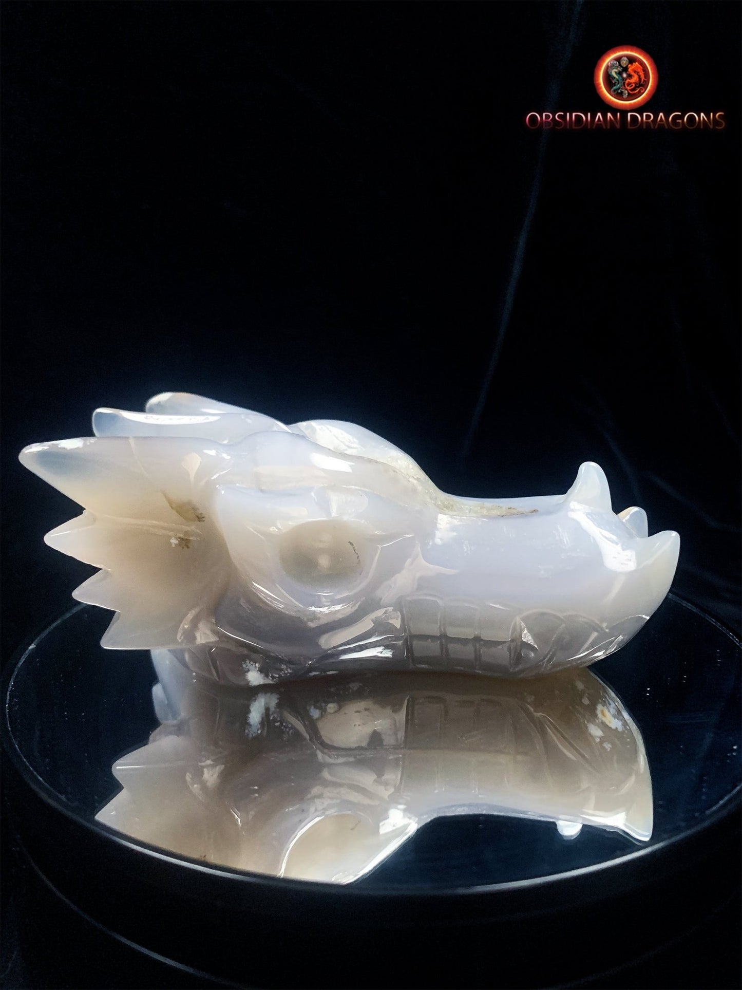 Crâne de dragon- Geode de quartz- méditation - obsidian dragons