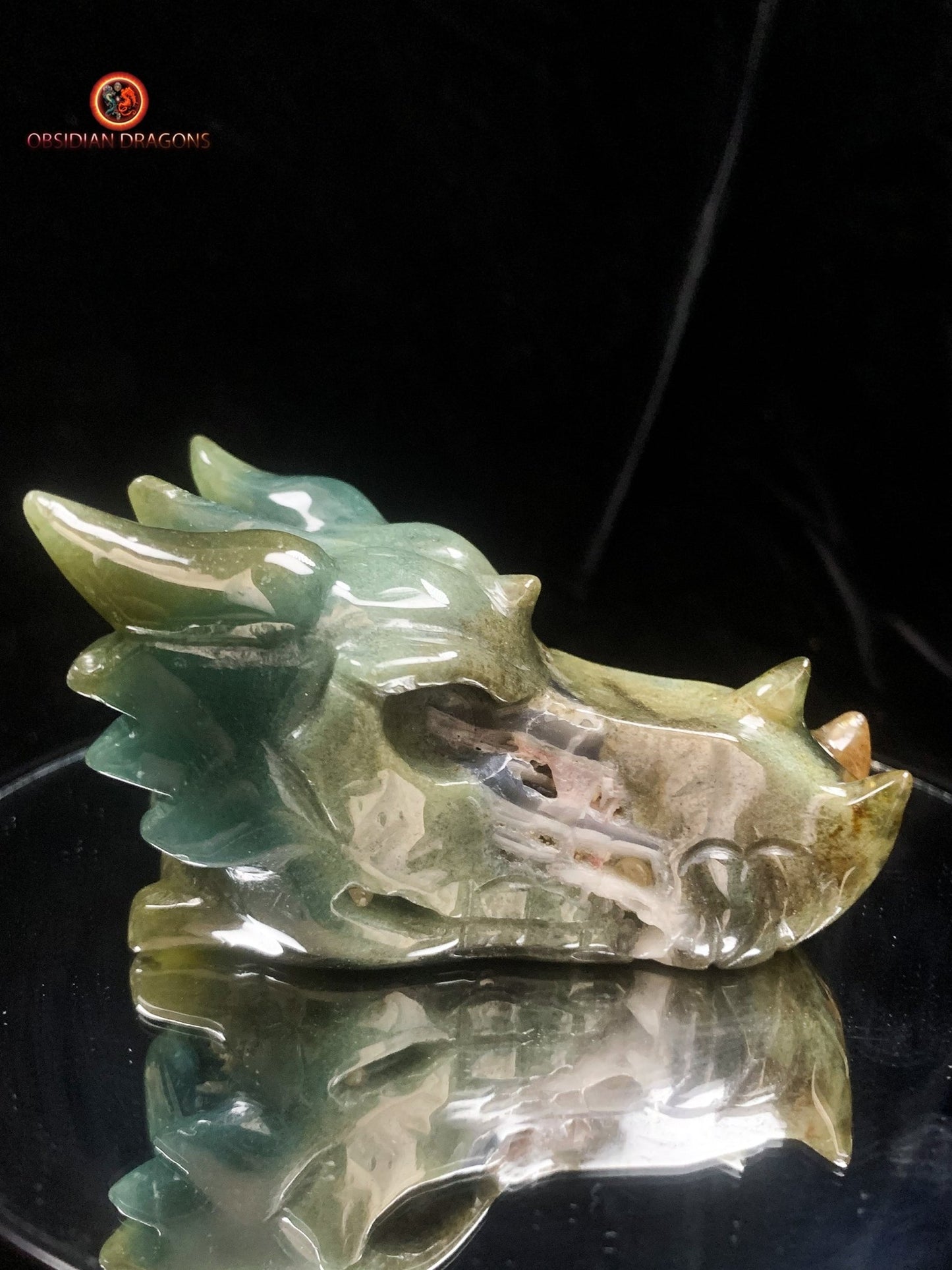 Crâne de dragon en agate mousse- naturel | obsidian dragons