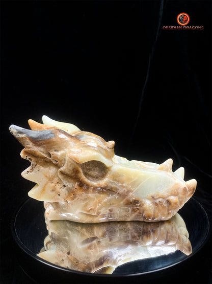 Crâne de dragon- Aragonite- Unique et artisanal | obsidian dragons