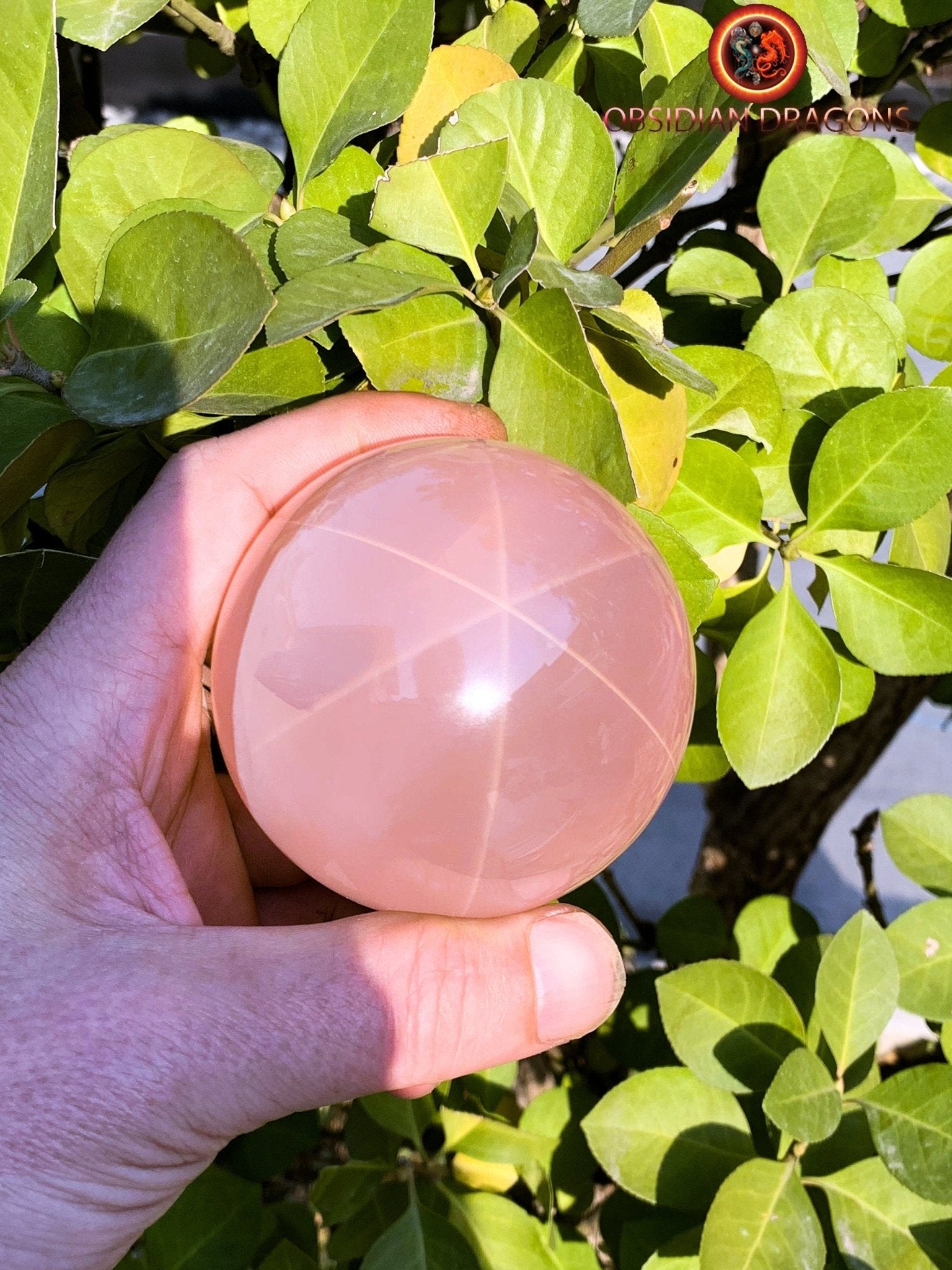 Sphère, quartz rose étoilé rare quartz rose astérié ou quartz rose astérisé. Provenance du Mozambique. quartz rose naturel. 70mm de diamètre - obsidian dragon