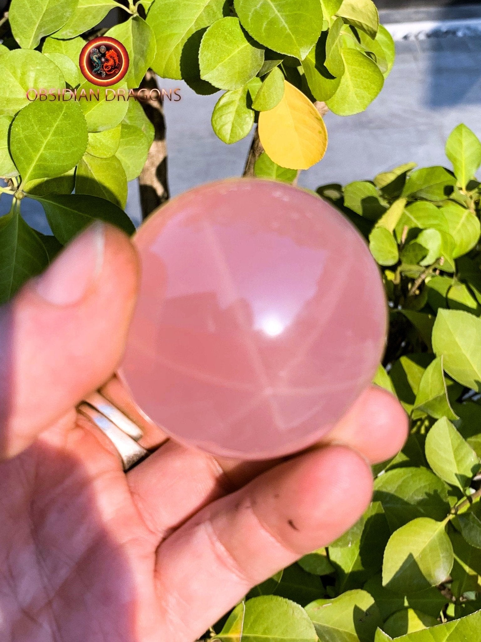 Sphère, quartz rose étoilé, quartz rose astérié ou quartz rose astérisé. Provenance du Mozambique. quartz rose naturel. 52mm de diamètre - obsidian dragon